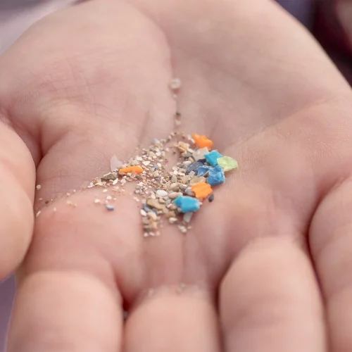 Microplastics in our environment